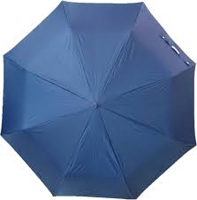 Popy 3 Fold Umbrella (colours)
